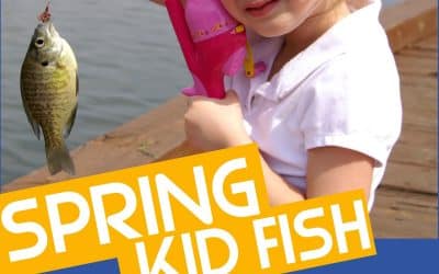 Spring Kid Fish